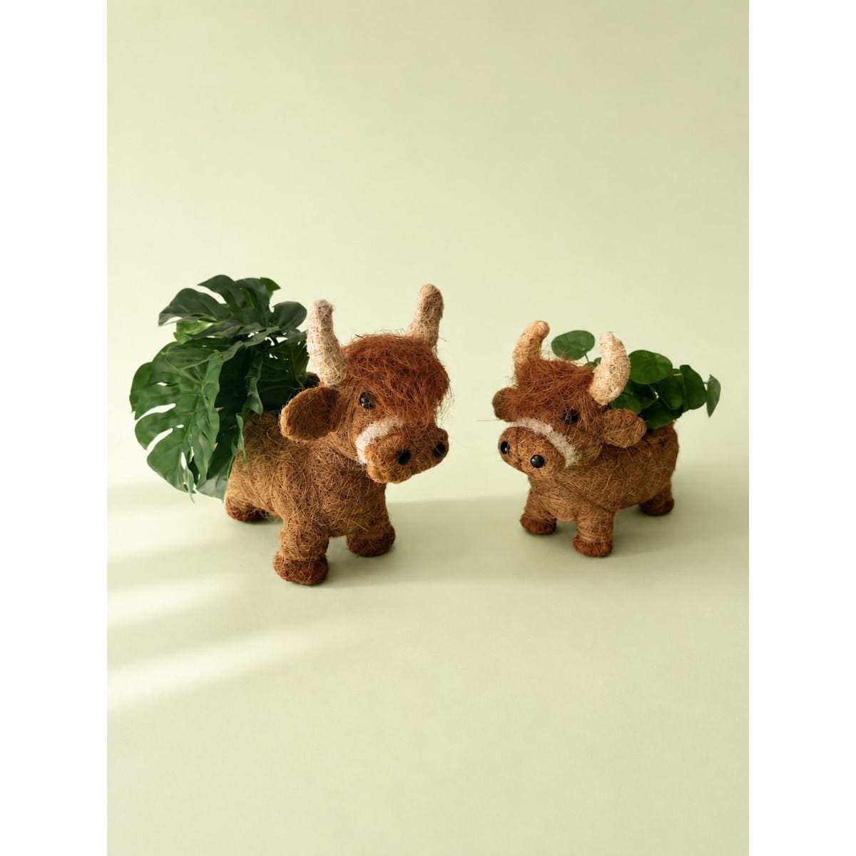39cm Highland Cow Husk Planter Urban Products