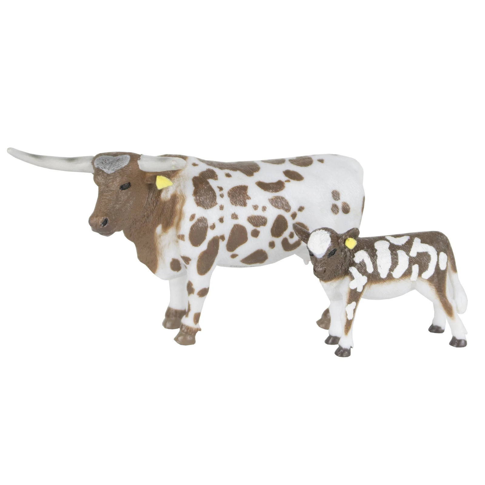 Big Country Longhorn Cow and Calf