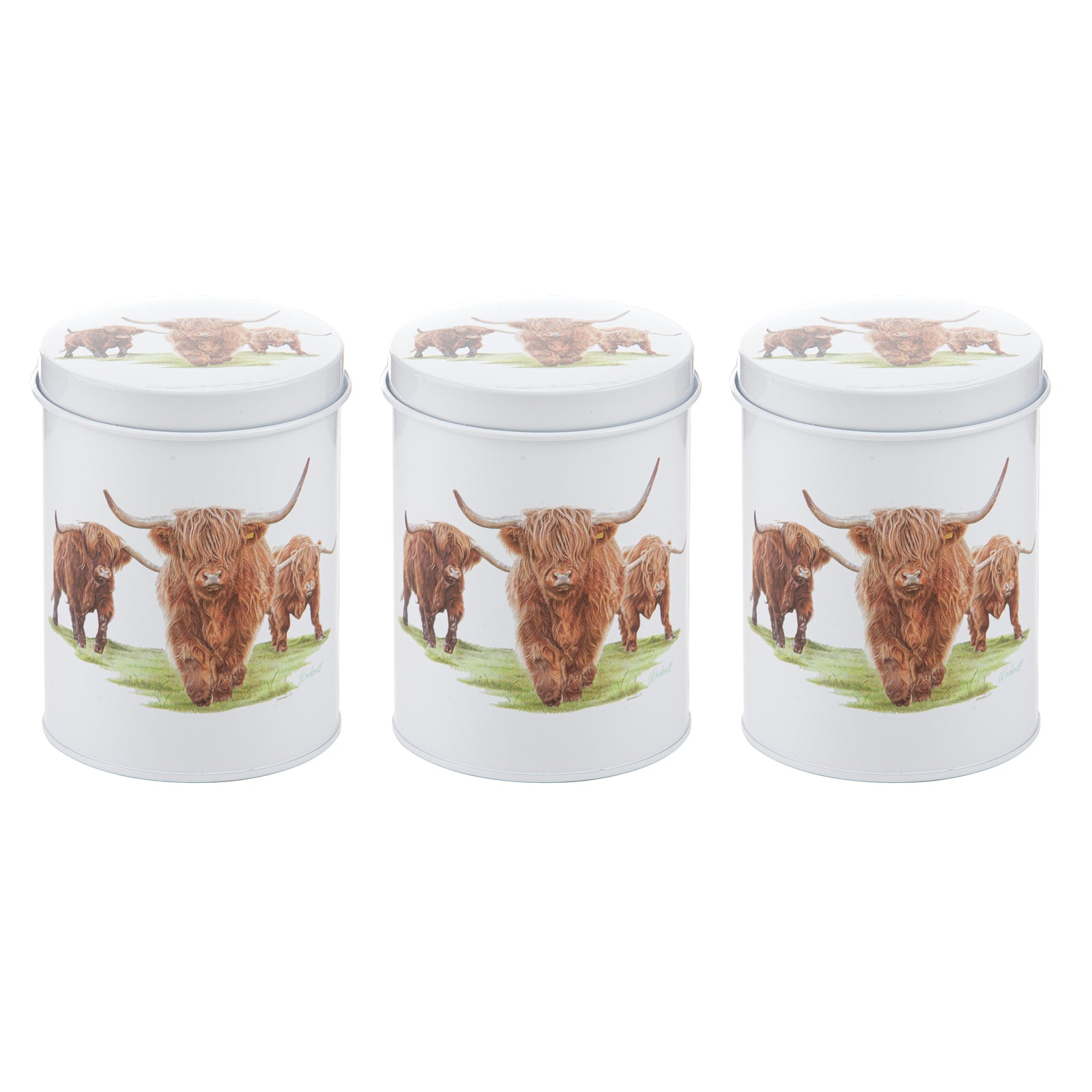 Ashdene Highland Herd 3pk Canister. Three white cylindrical containers with highland cow design on a white background