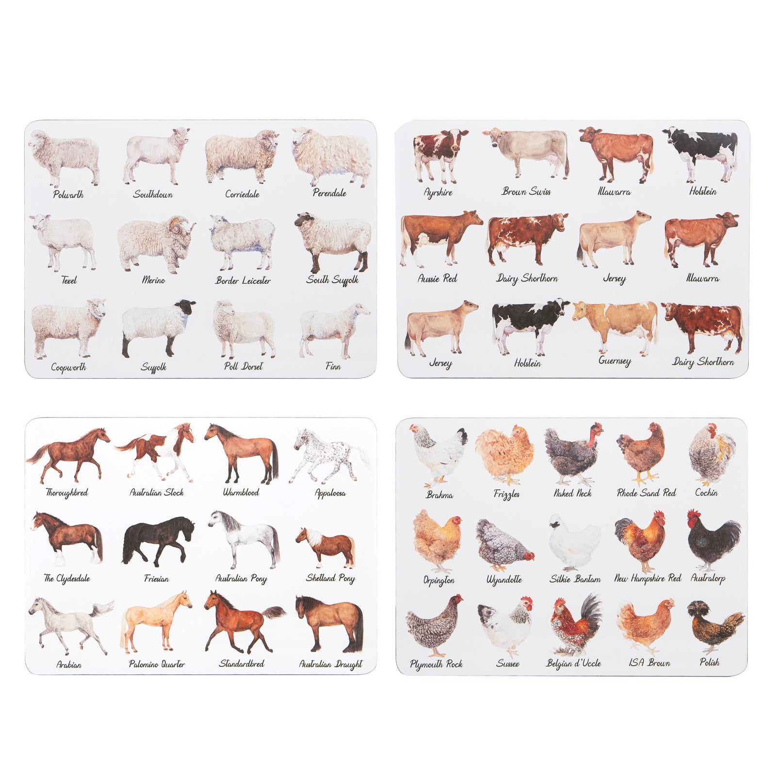 Set of animal identification cards with various breeds labeled on a white background