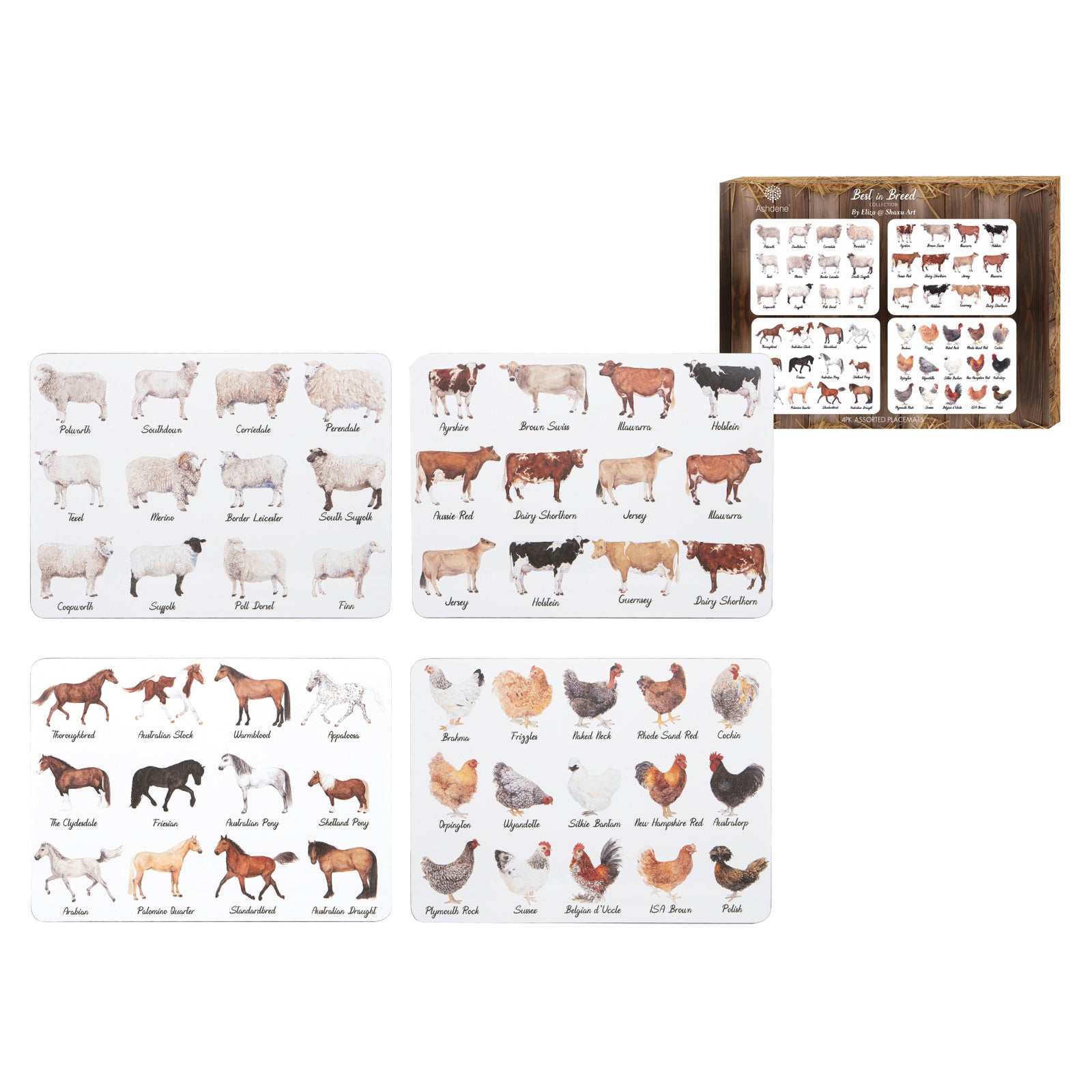 Set of animal flashcards on white background