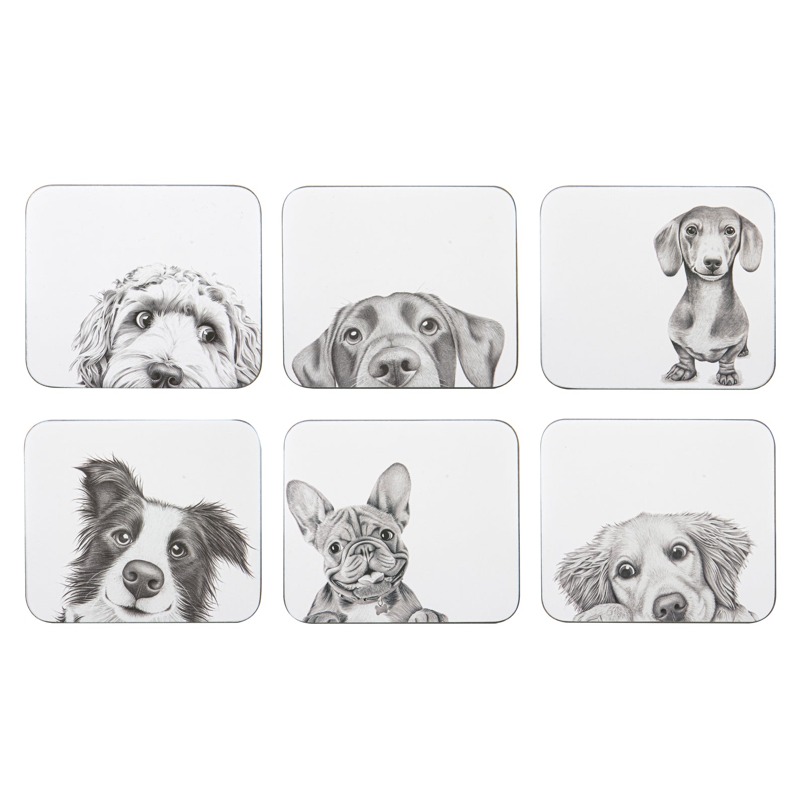 Set of six coasters with black and white illustrations of dogs on a white background