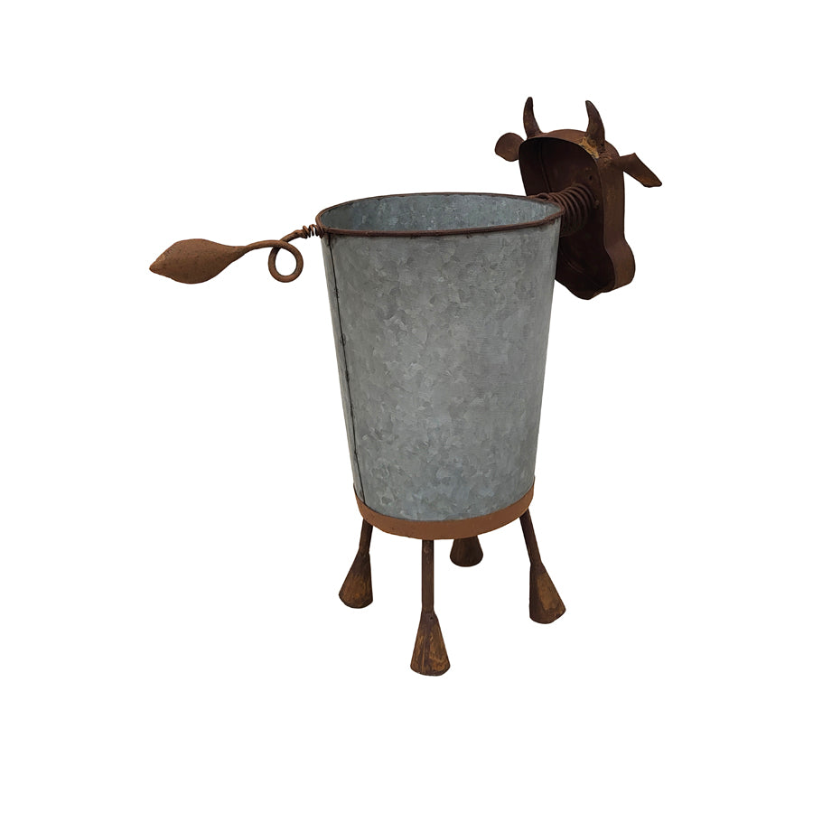 Rusty Cow Planter w/ Galv Pot. Metal bucket with cow design on a white background