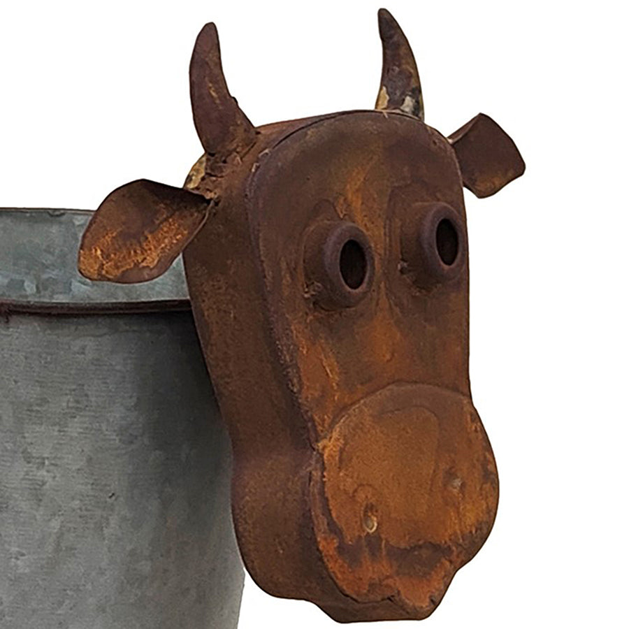 Rusty Cow Planter w/ Galv Pot. Rust-colored cow head decoration on a metal bucket against a white background