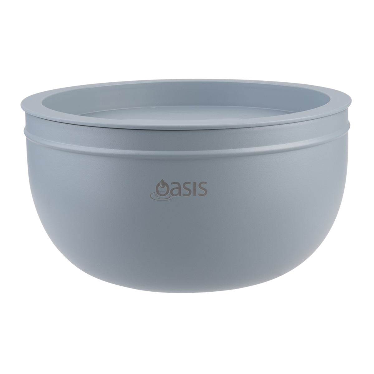 Oasis Stainless Steel 2.8 L Double Wall Salad Bowl with Lid. Gray planter with 'Oasis' branding on a white background