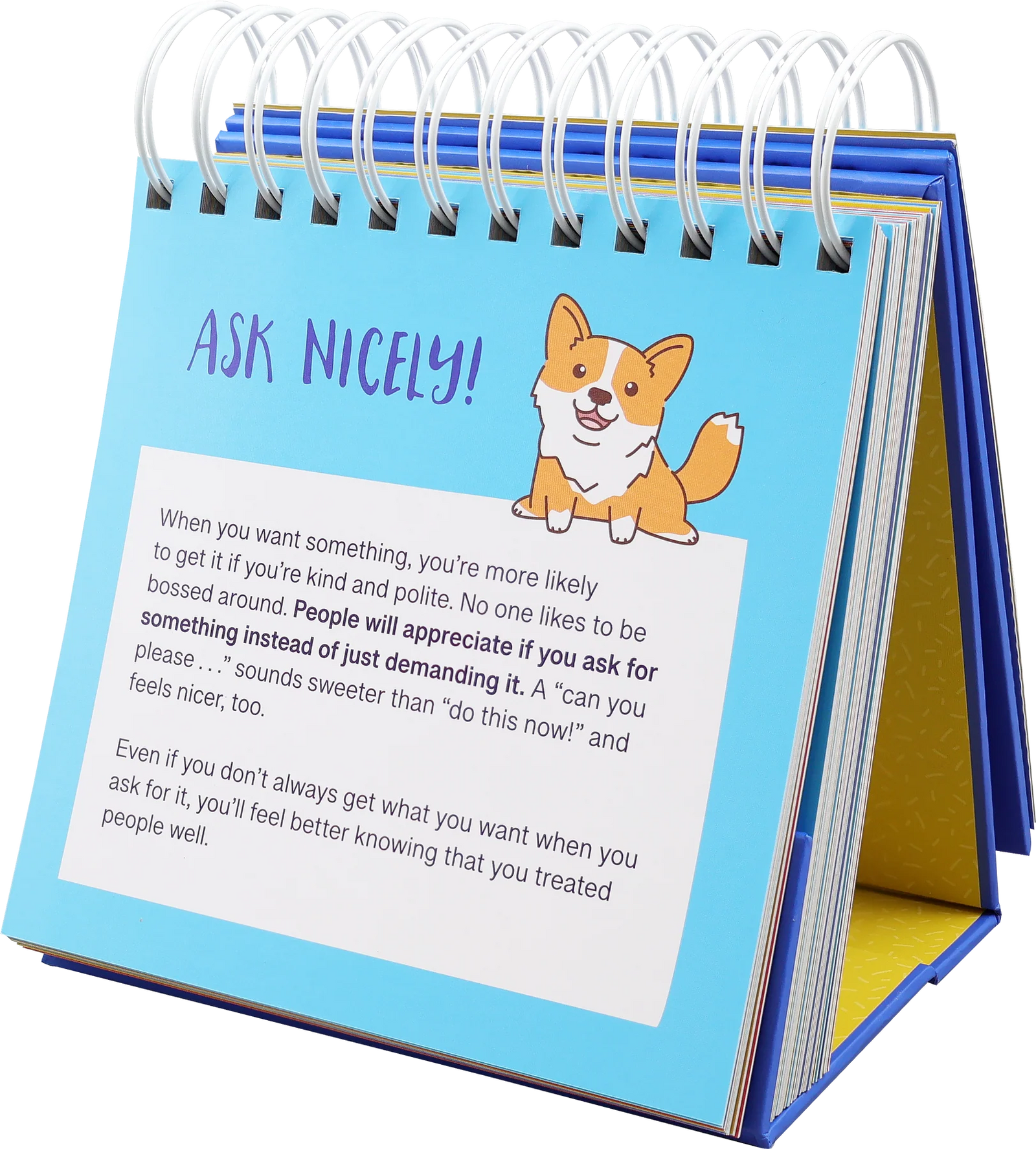 Everyday Manners and Social Skills - A Flip Book For Kids