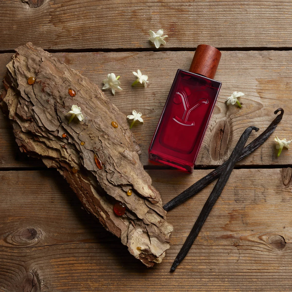 A dark red rectangular perfume bottle with a brown cap, styled on a rustic wooden surface alongside a piece of bark, vanilla beans, and small white flowers.