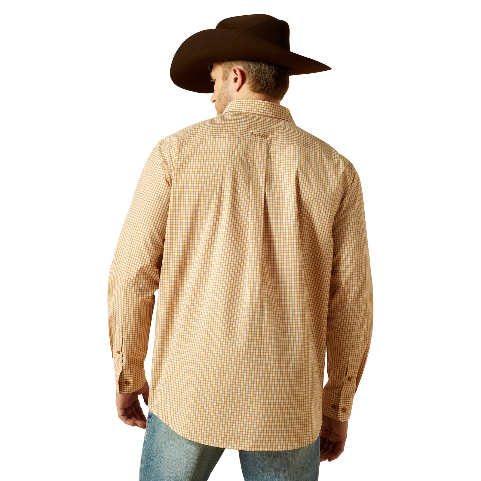Man wearing a beige checkered shirt and brown cowboy hat on a white background