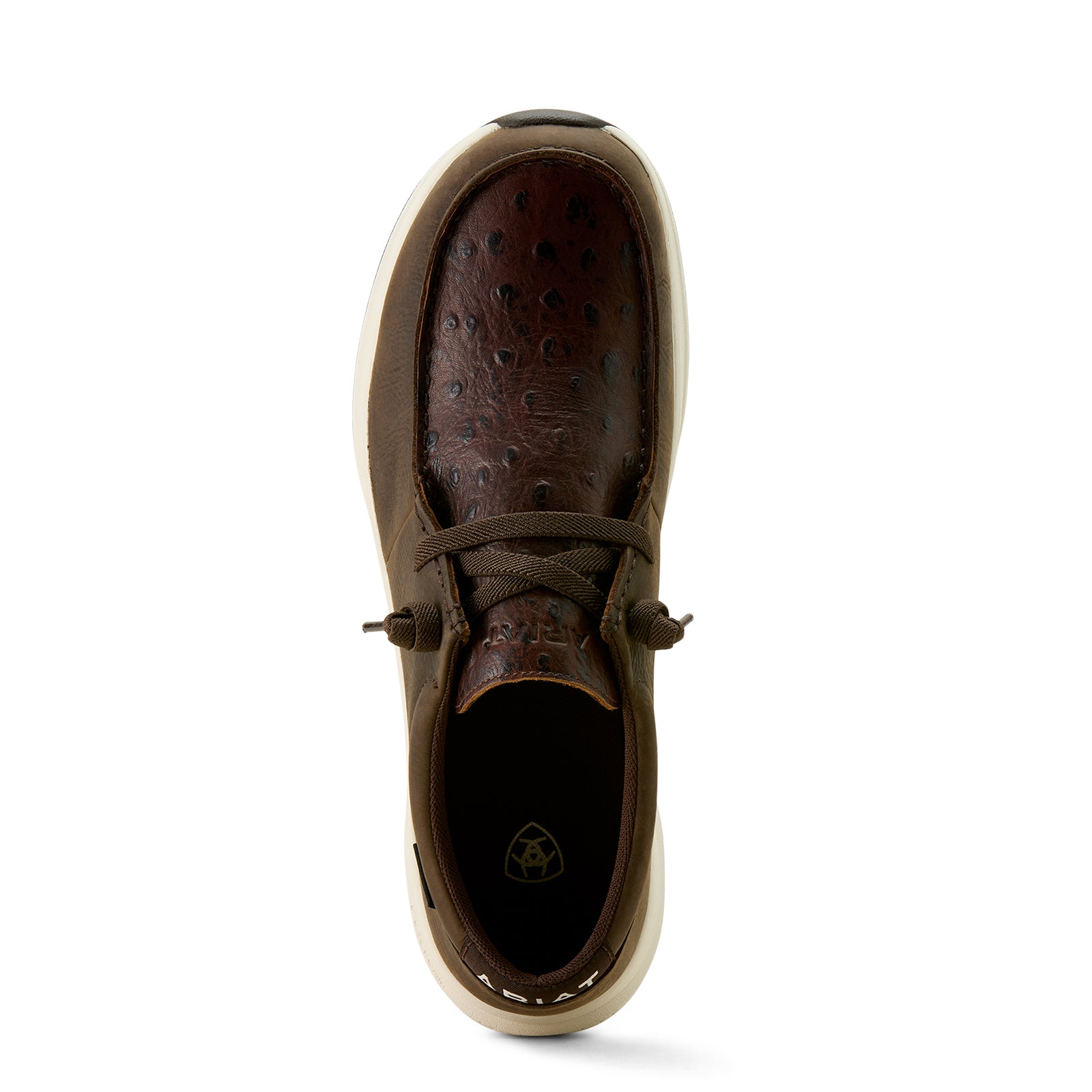 Ariat Men's Buckeye H2O Shoe. Brown leather shoe with a white sole on a white background