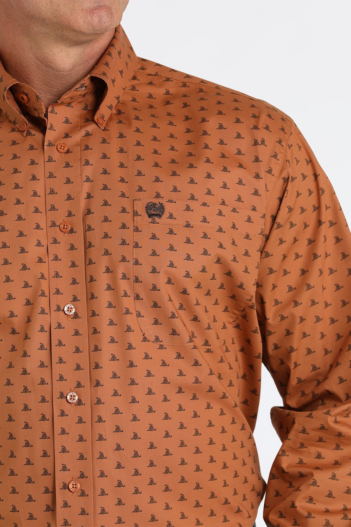 Cinch Men's Gadsden Print L/S Western Shirt