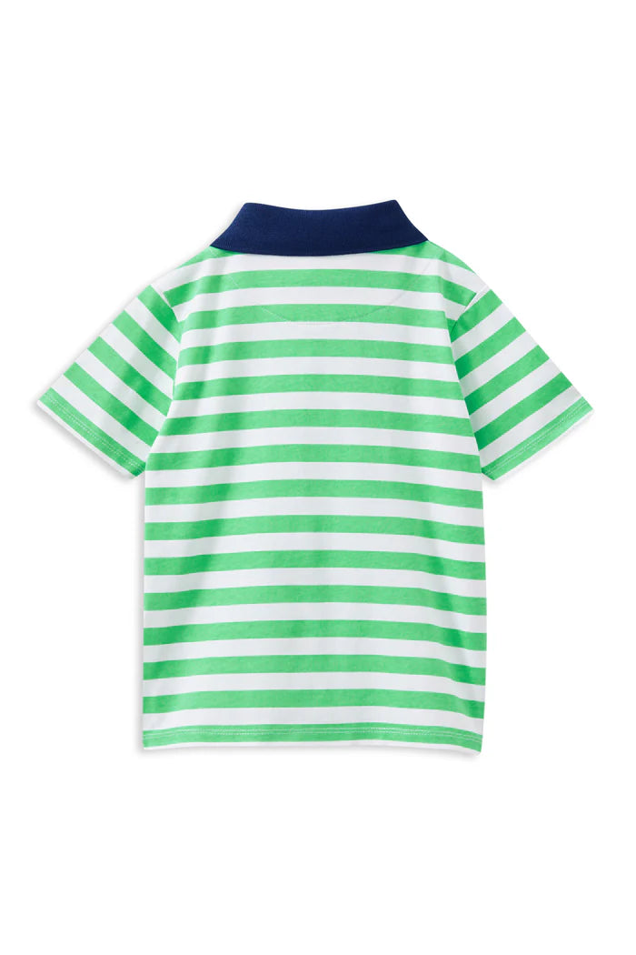 Milky Green Stripe Rugby. Green and white striped polo shirt on a white background