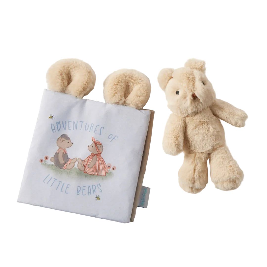 Children's book titled 'Adventures of Little Bears' with a matching teddy bear on a light background