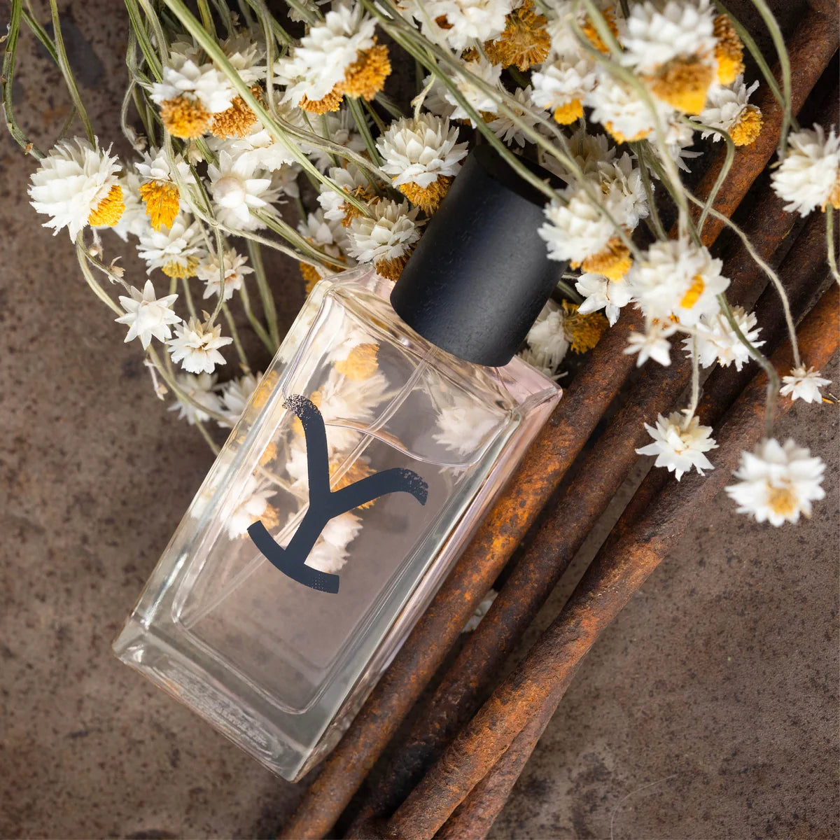A clear rectangular perfume bottle with a matte black cap and a large black stylized 'Y' logo, styled on a textured surface with dried white flowers and rusty brown sticks.