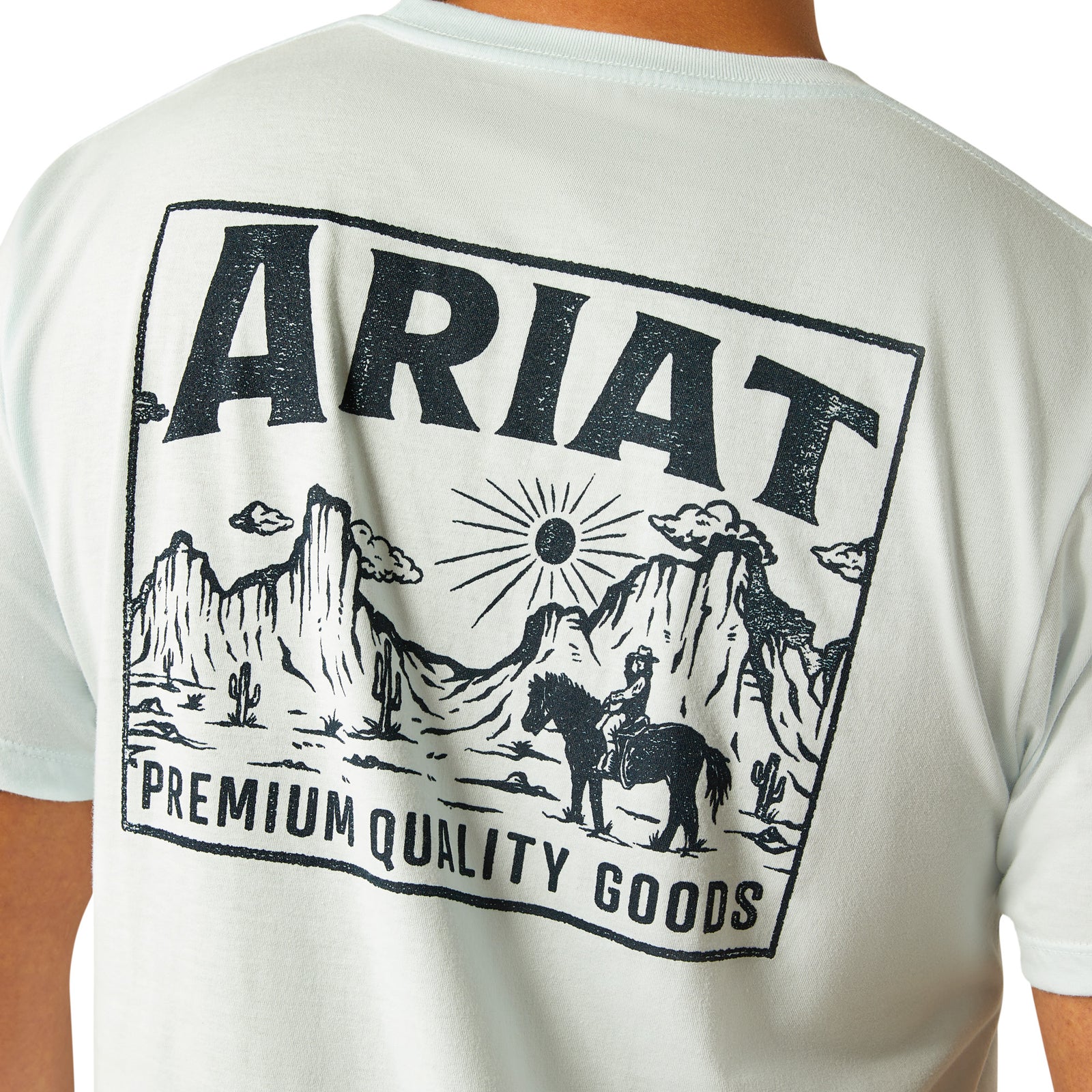 Ariat Men's Echo Valley T-Shirt. White t-shirt with Ariat logo and desert scene on the back