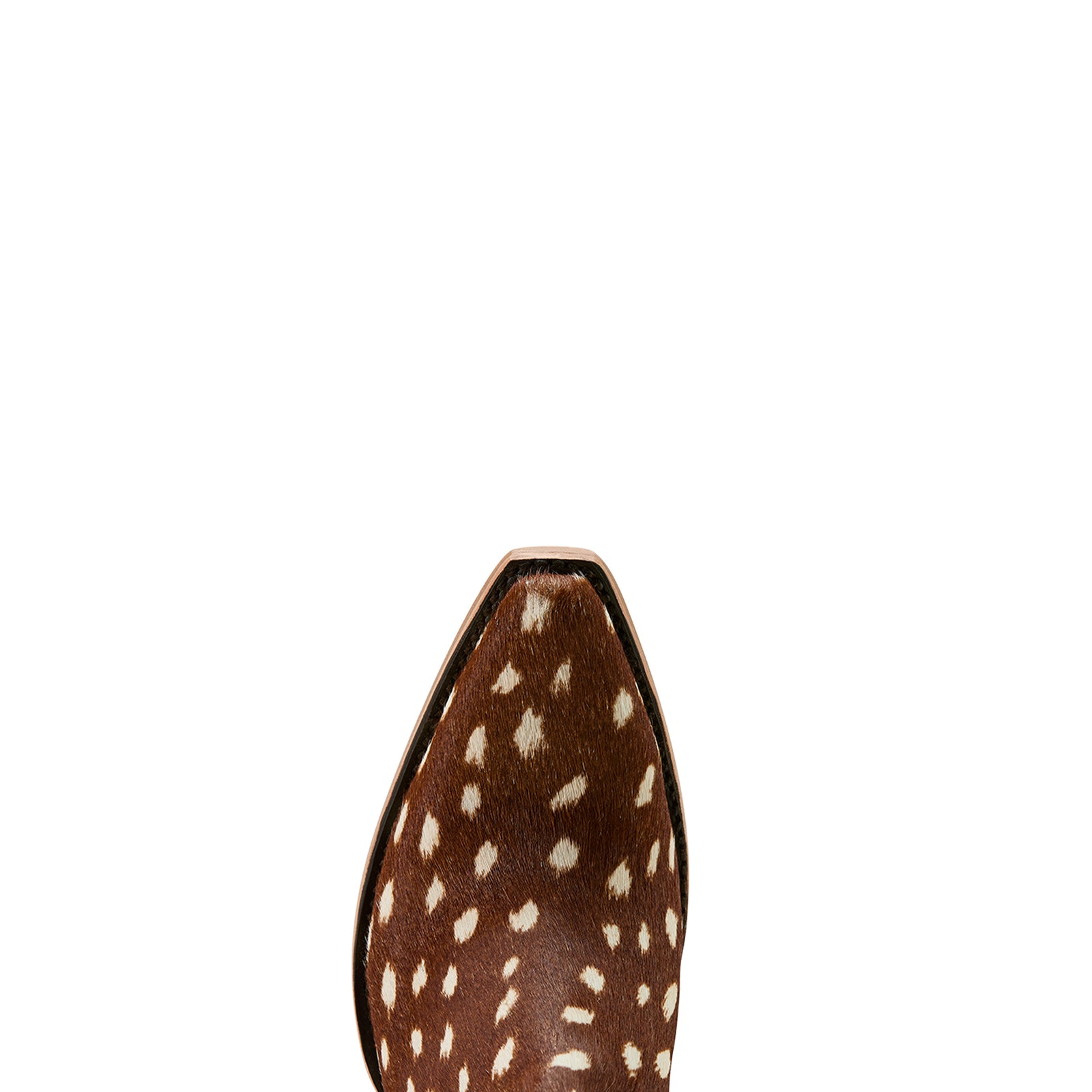 Ariat Dixon Western Bootie. Close-up of a brown cowhide boot tip on a white background.