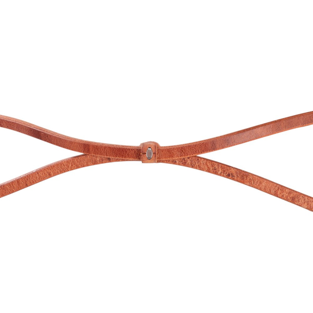 Professional's Choice Harness Leather Split Reins. Brown leather belt on a white background