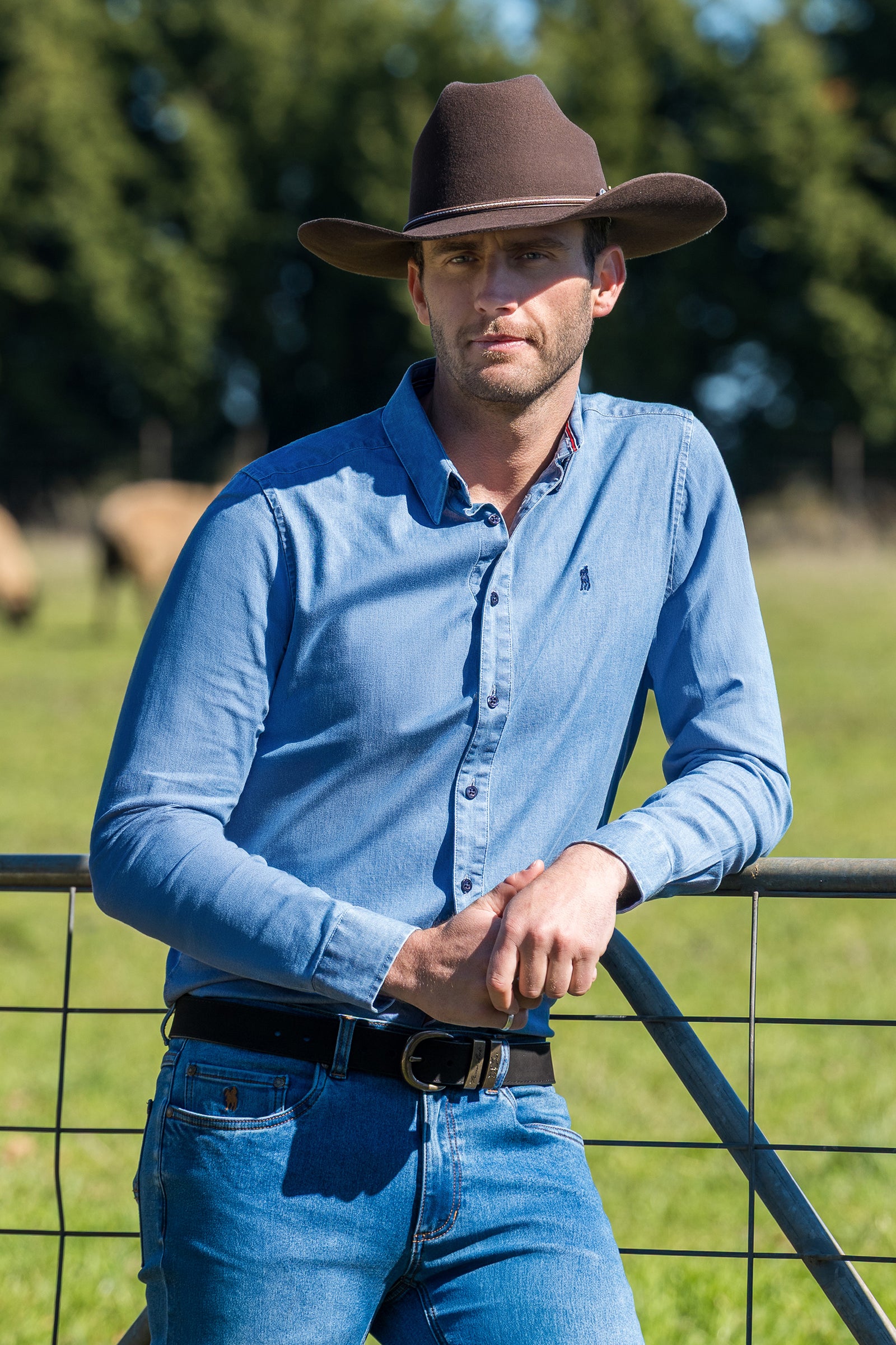 Man wearing a cowboy hat and blue shirt holding a rifle in a field