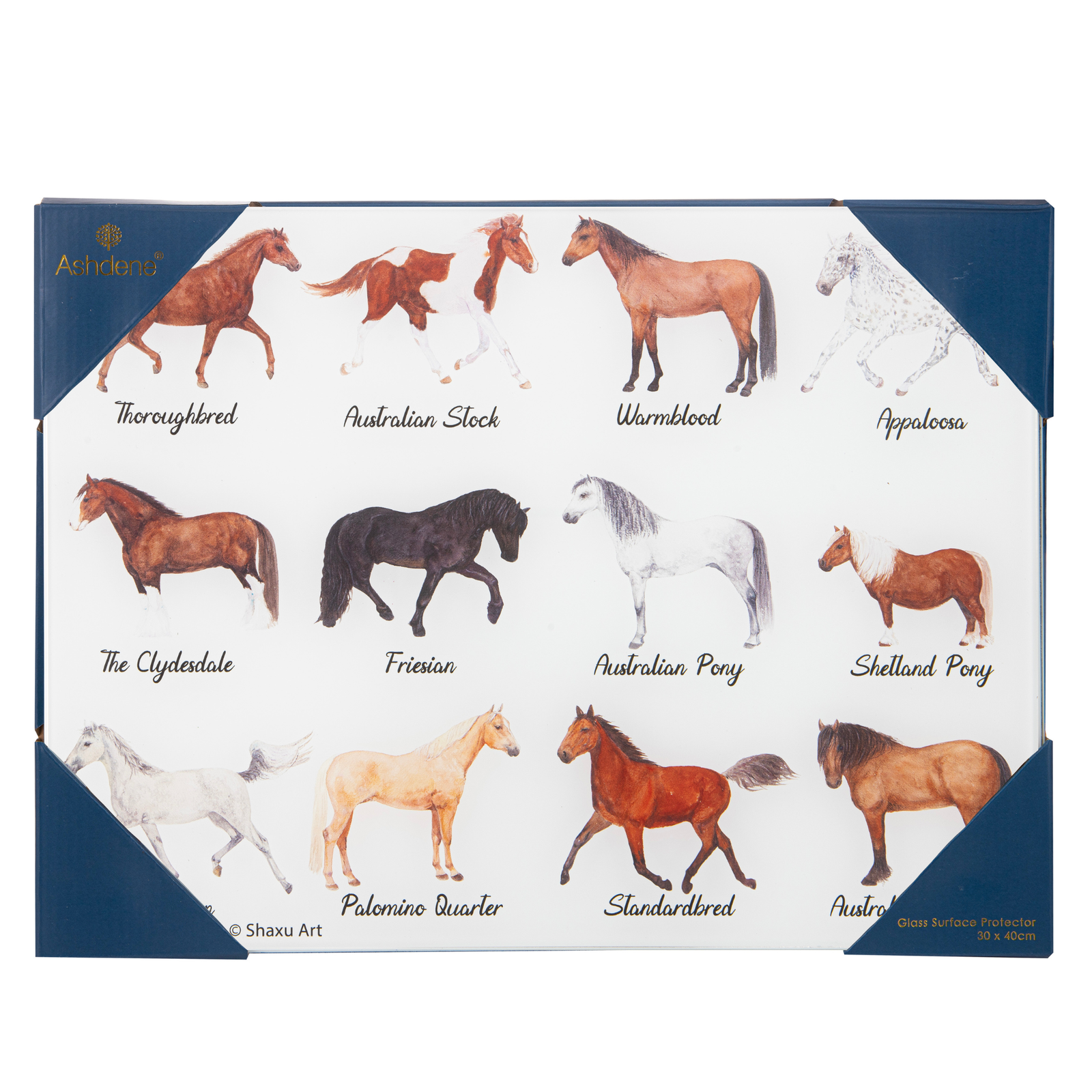 Box with illustrations of various horse breeds on a white background