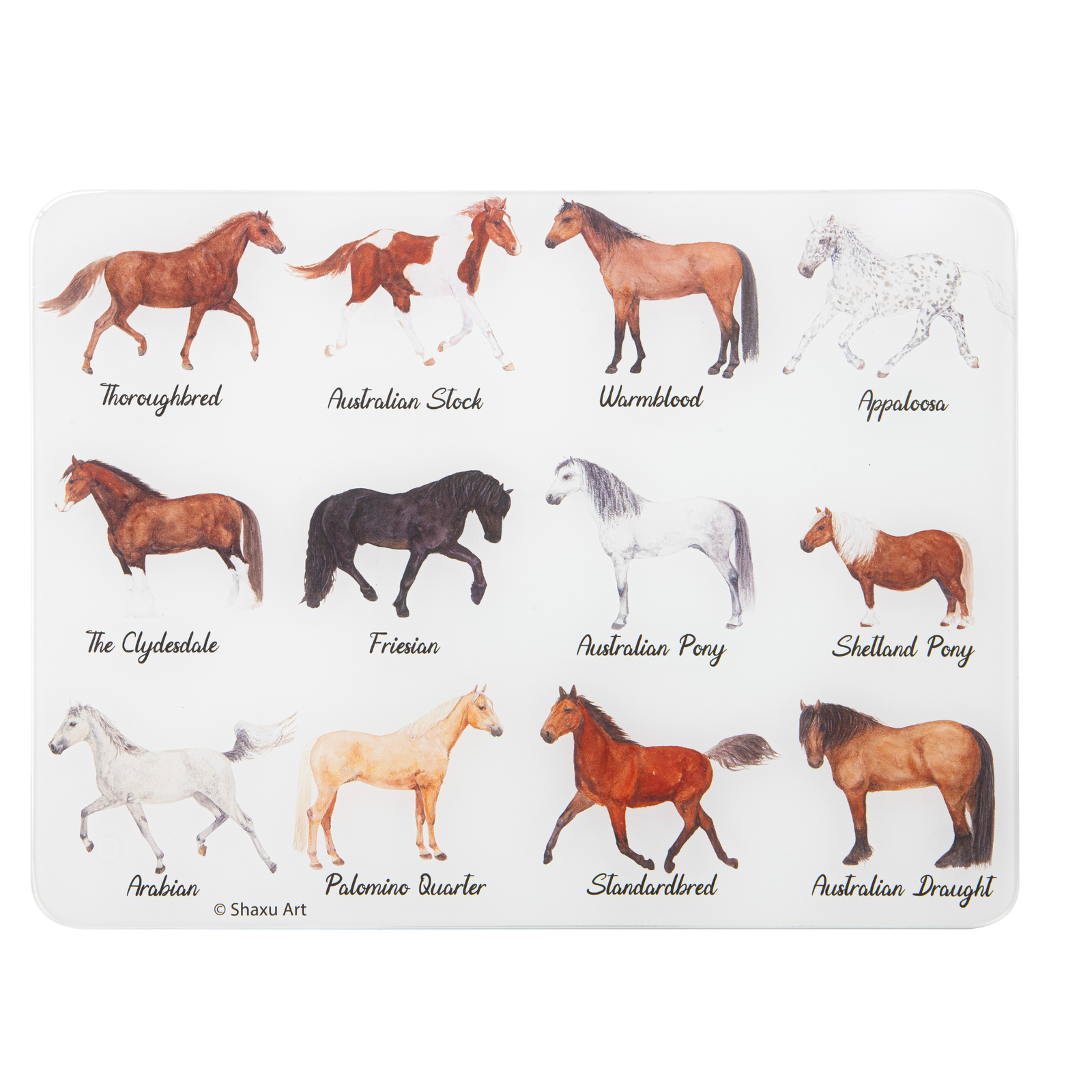 Placemat with illustrations of various horse breeds on a white background