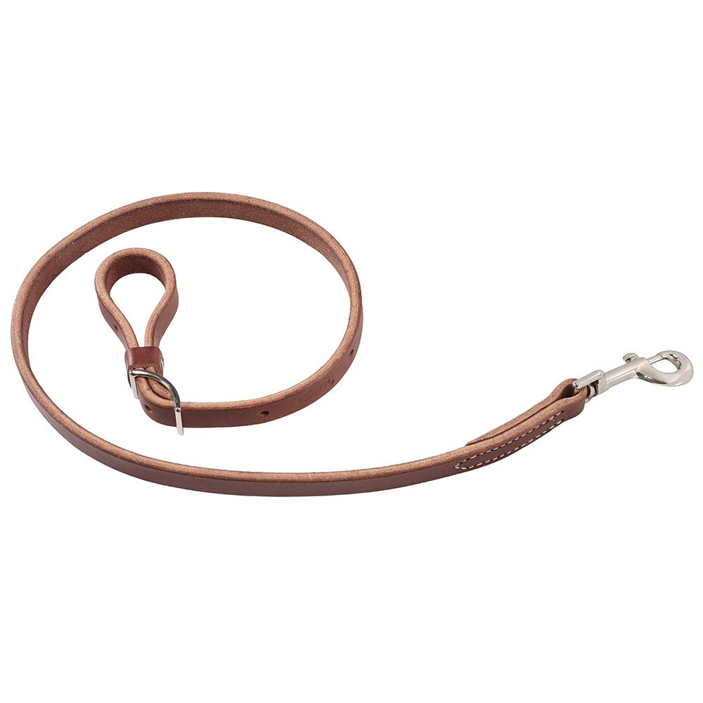 Weaver Horizons Collection Tie Down Strap- Sunset Tan