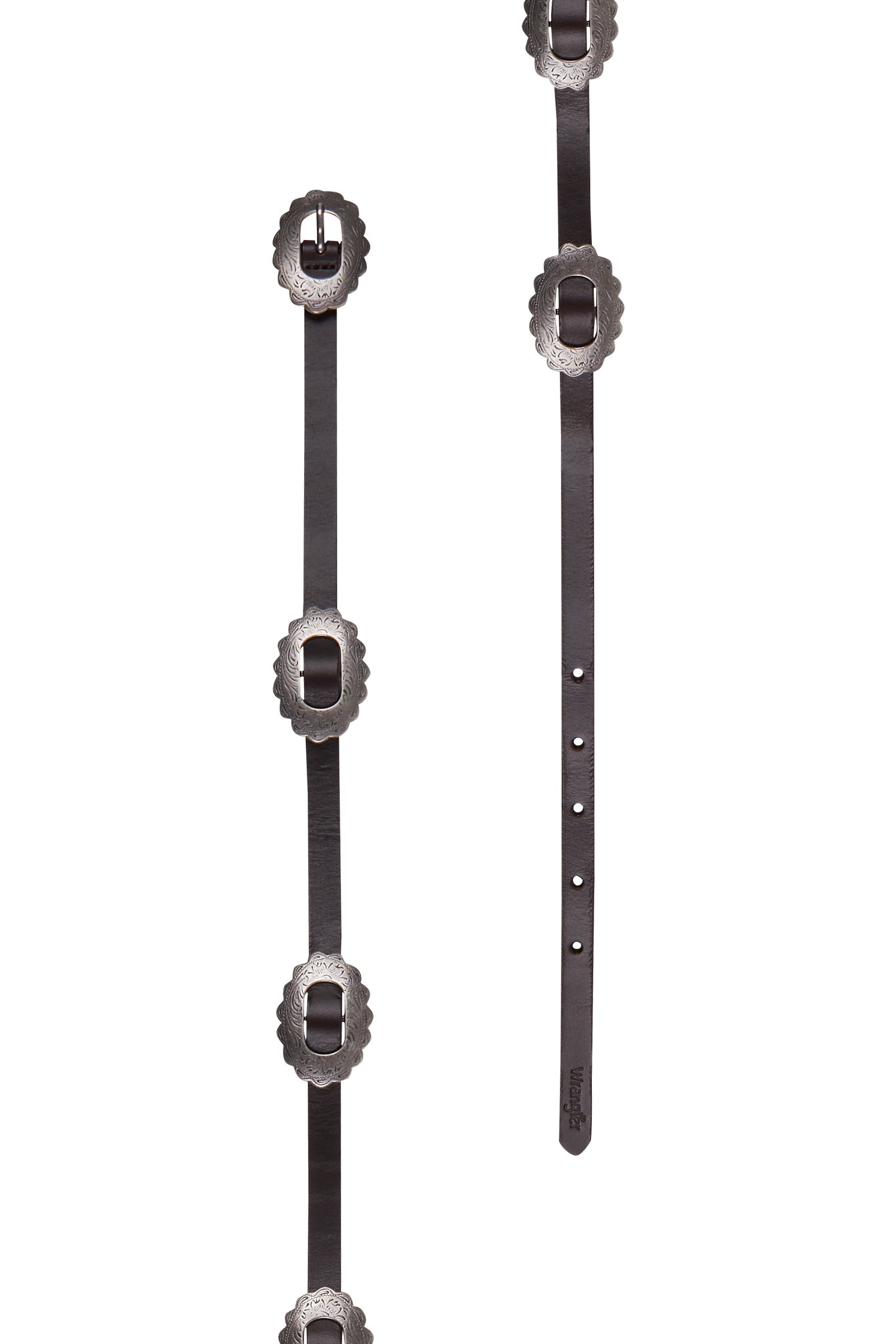 A brown Wrangler Women's Eden Western Belt with a concho design and antique silver hardware.