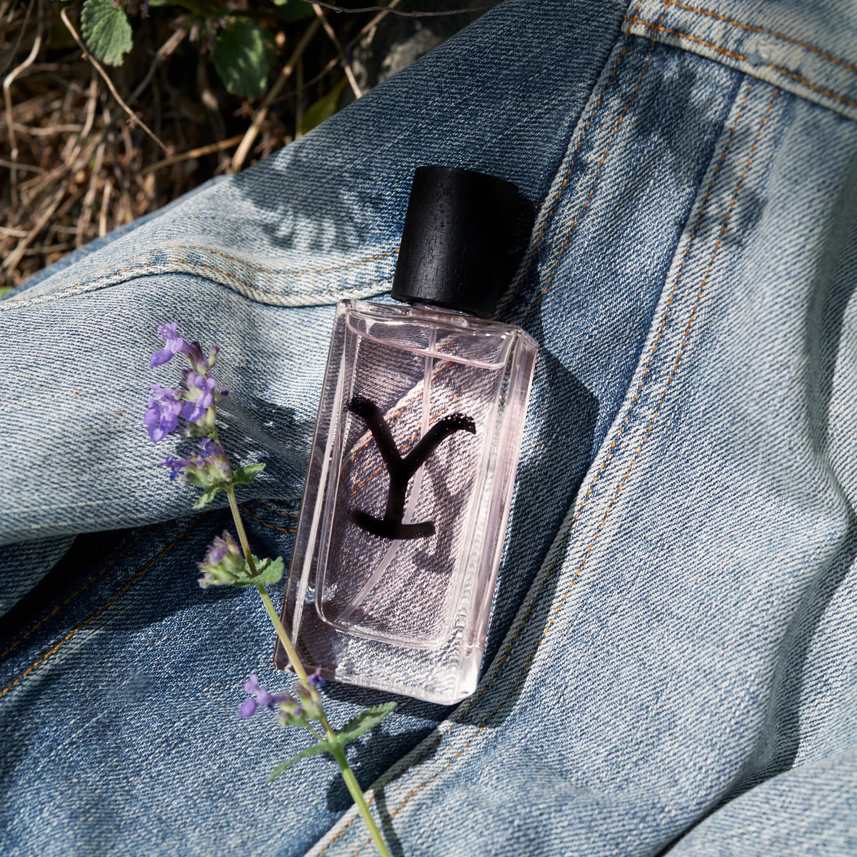 Perfume bottle with a black cap on denim fabric next to purple flowers