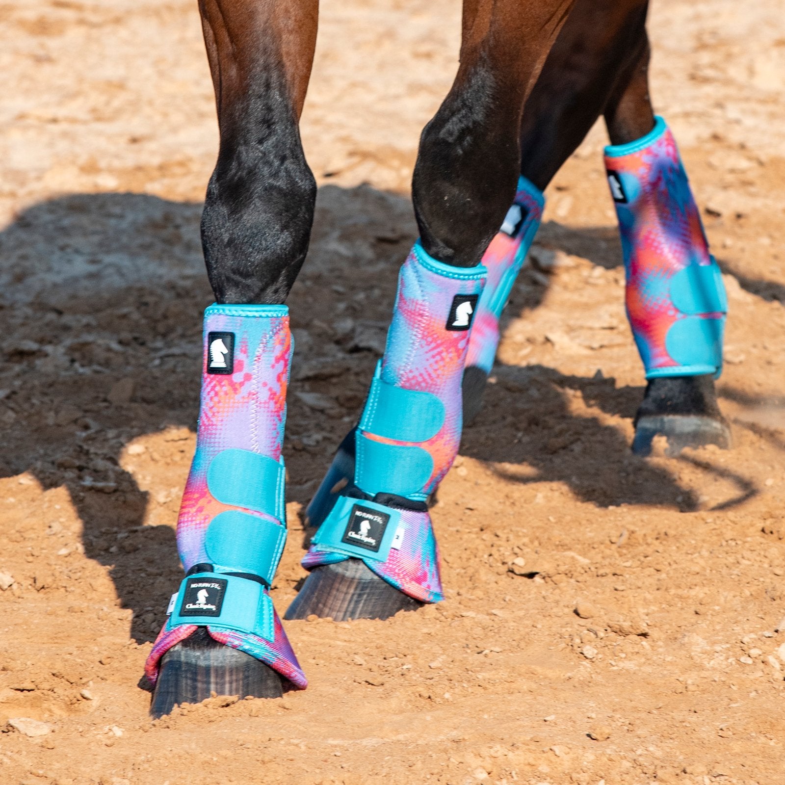 Horse legs wearing colorful protective boots on a dirt ground.