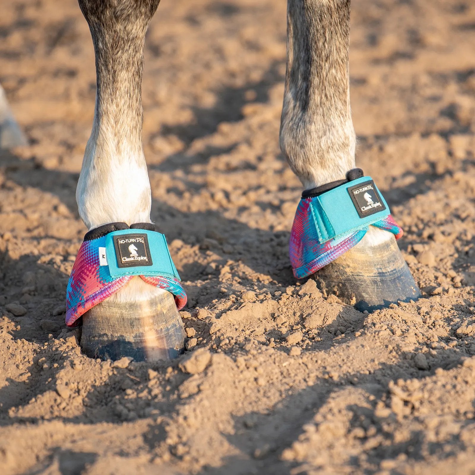 Horse hooves with colorful protective wraps on a dirt ground