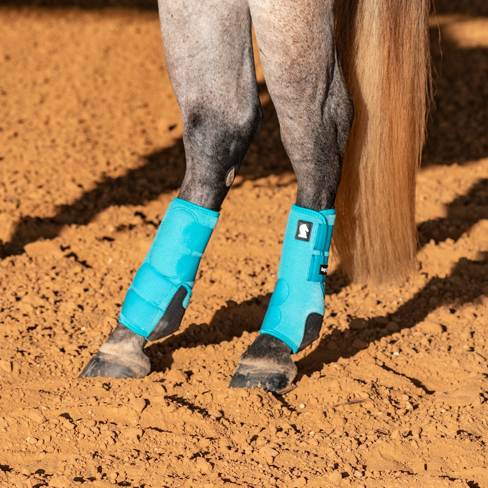 Horse wearing blue protective boots on a dirt ground