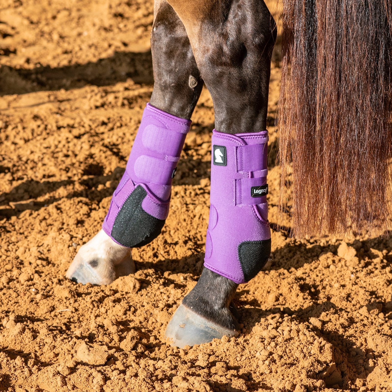 Horse leg with purple protective boot on a dirt ground