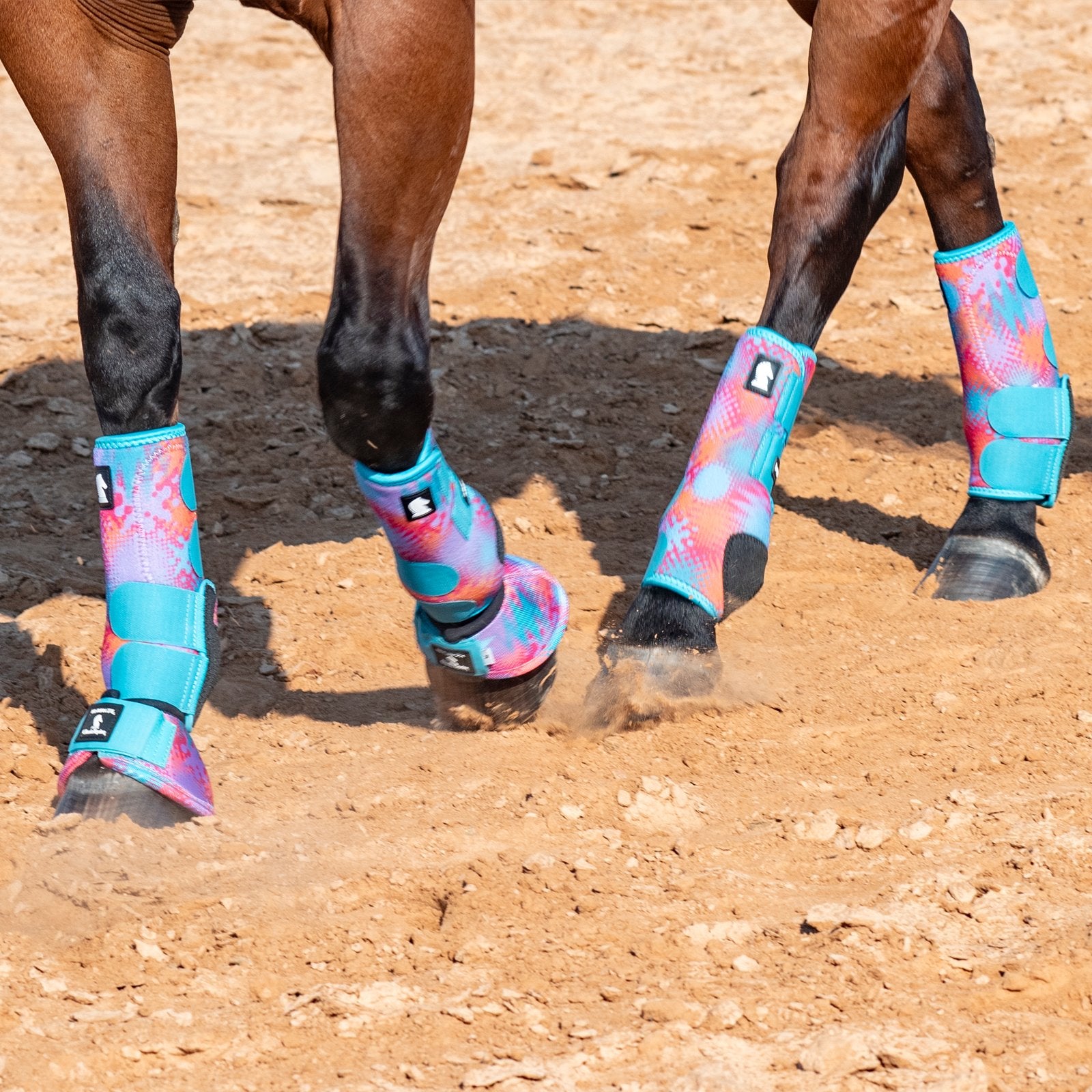 Horse legs wearing colorful protective boots on a dirt ground.