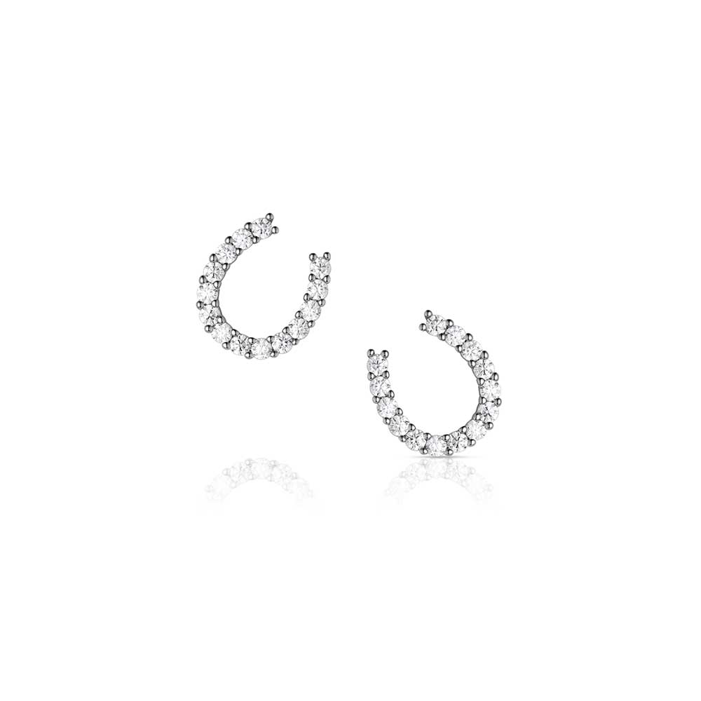 Montana Silversmiths Tiny Rider Post Earrings. Hoop earrings with small diamonds on a white background