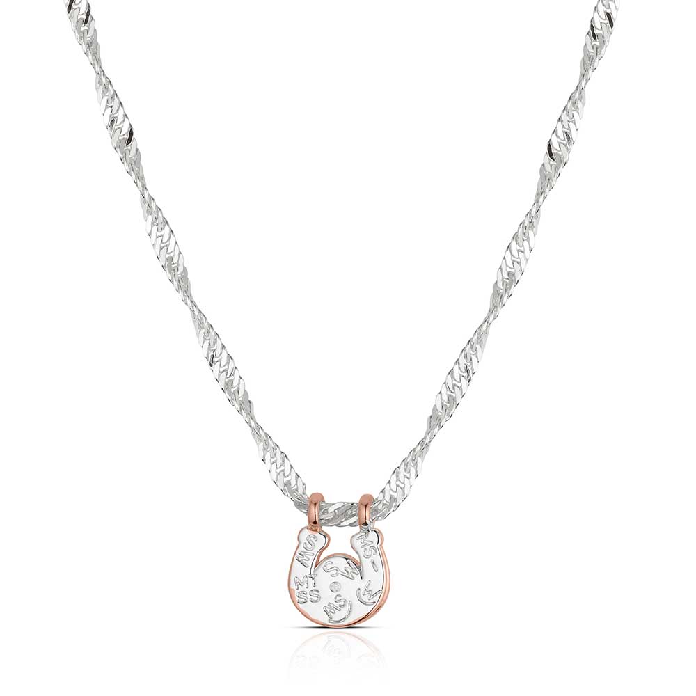 Silver necklace with a rose gold clasp on a white background