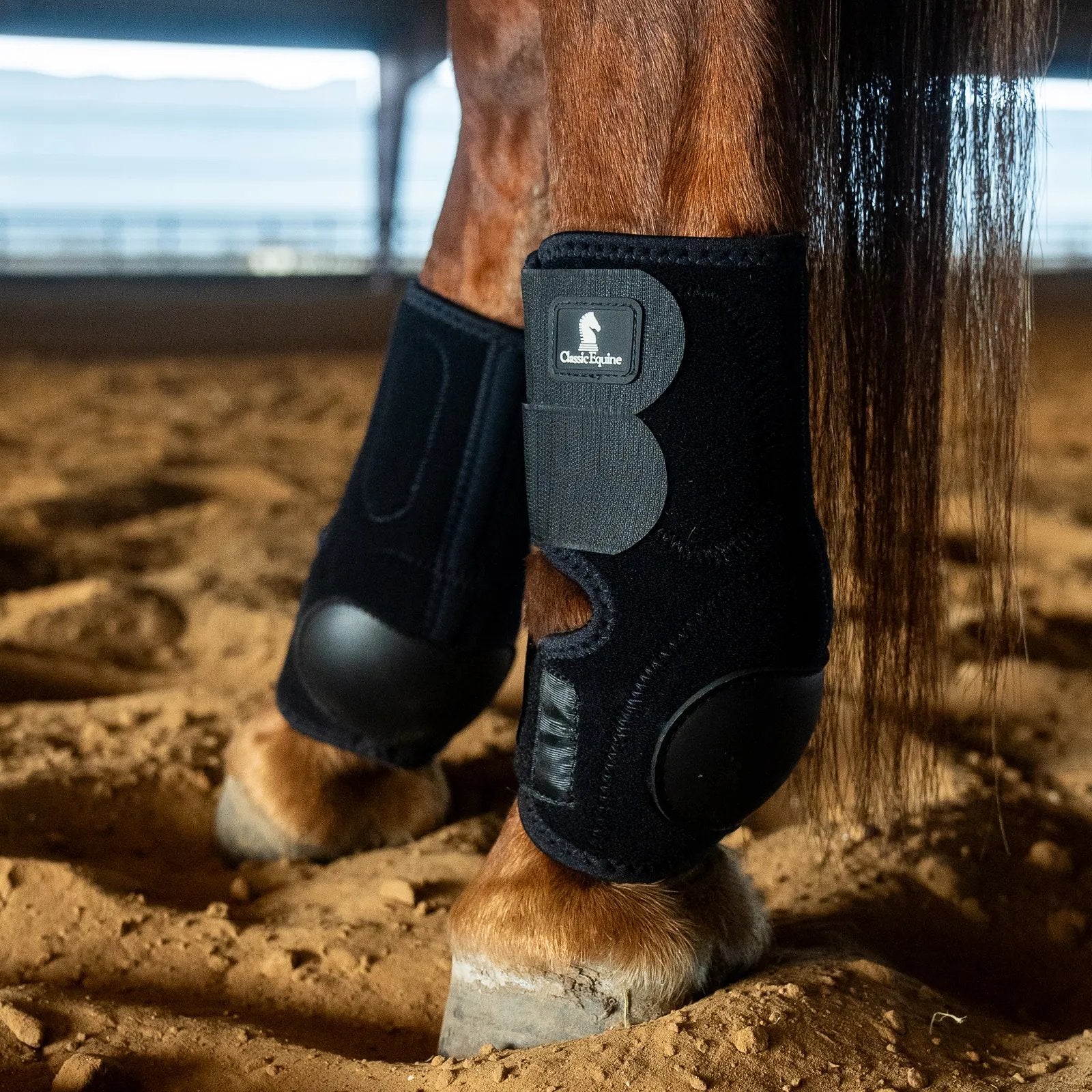 Classic Equine Neoprene Skid Boots