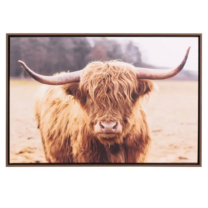 A framed photographic print of a shaggy Highland cow with long horns, set against a muted field background, shown on a plain white background.