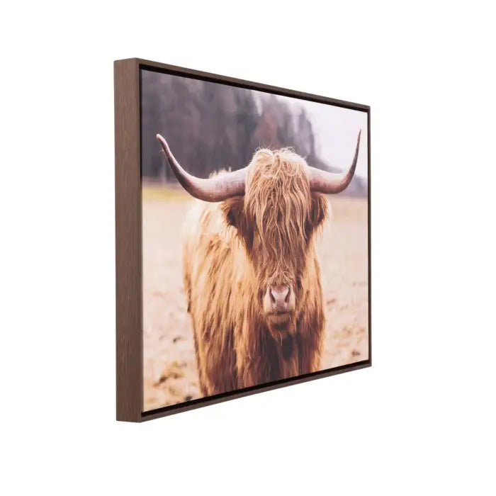 A framed wall art print showing a close-up photograph of a shaggy Highland cow with long horns, presented at an angle against a plain white background.