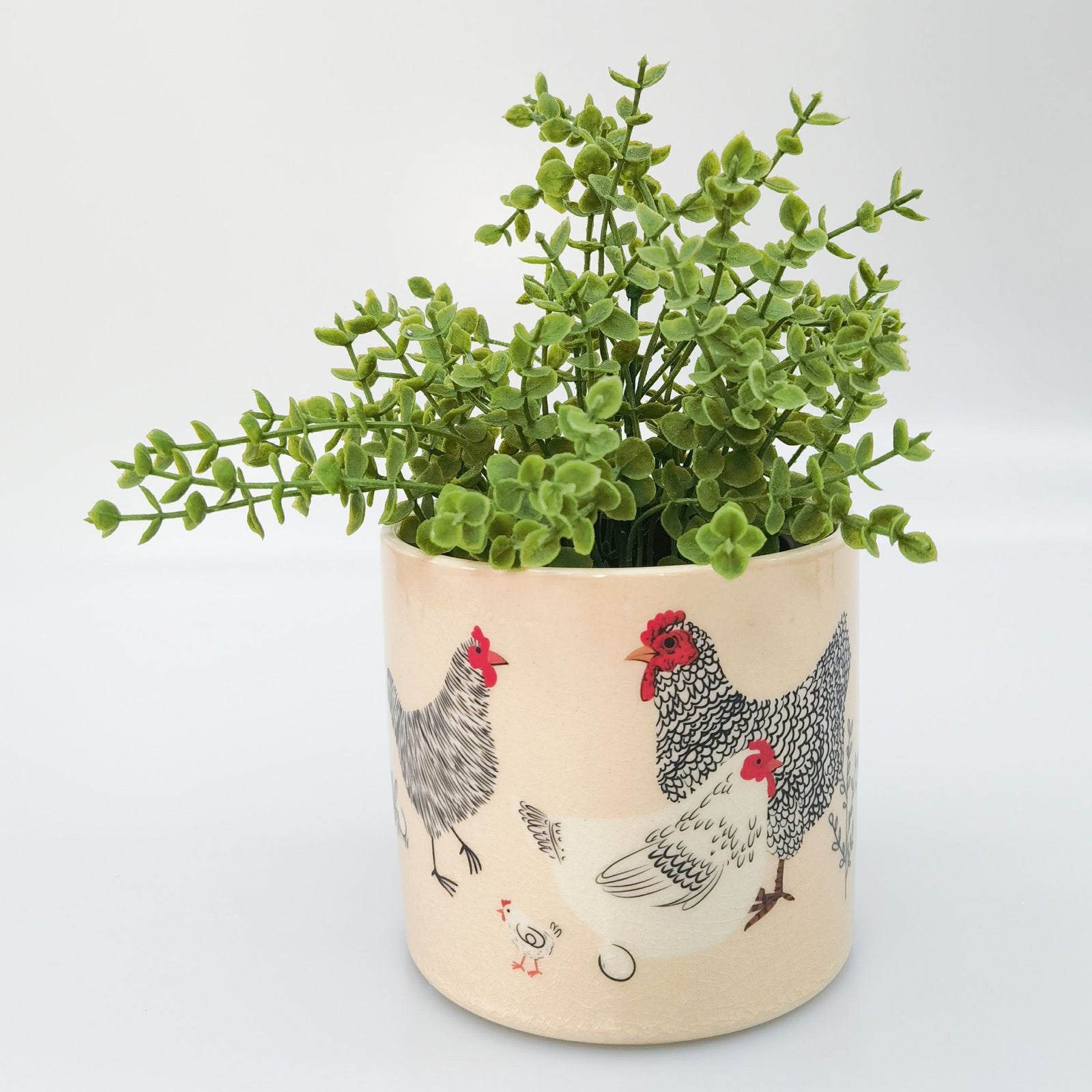 Plant in a pot with chicken design on a white background