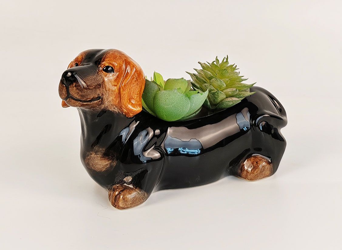 Dog-shaped planter with succulents on a white background