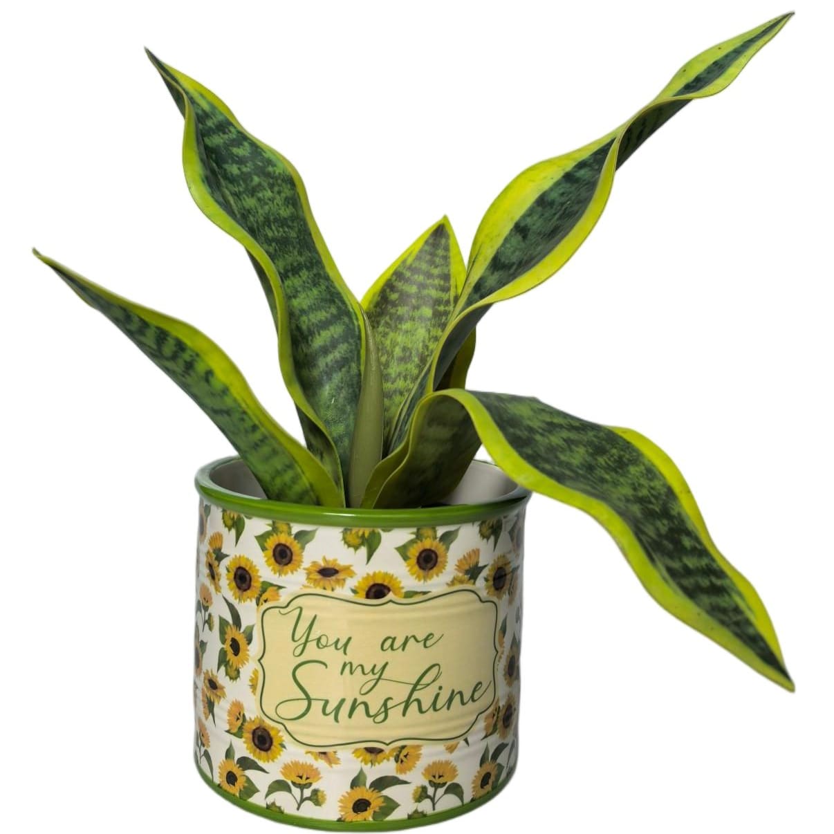 Urban Products Sunflowers Planter Urban Products