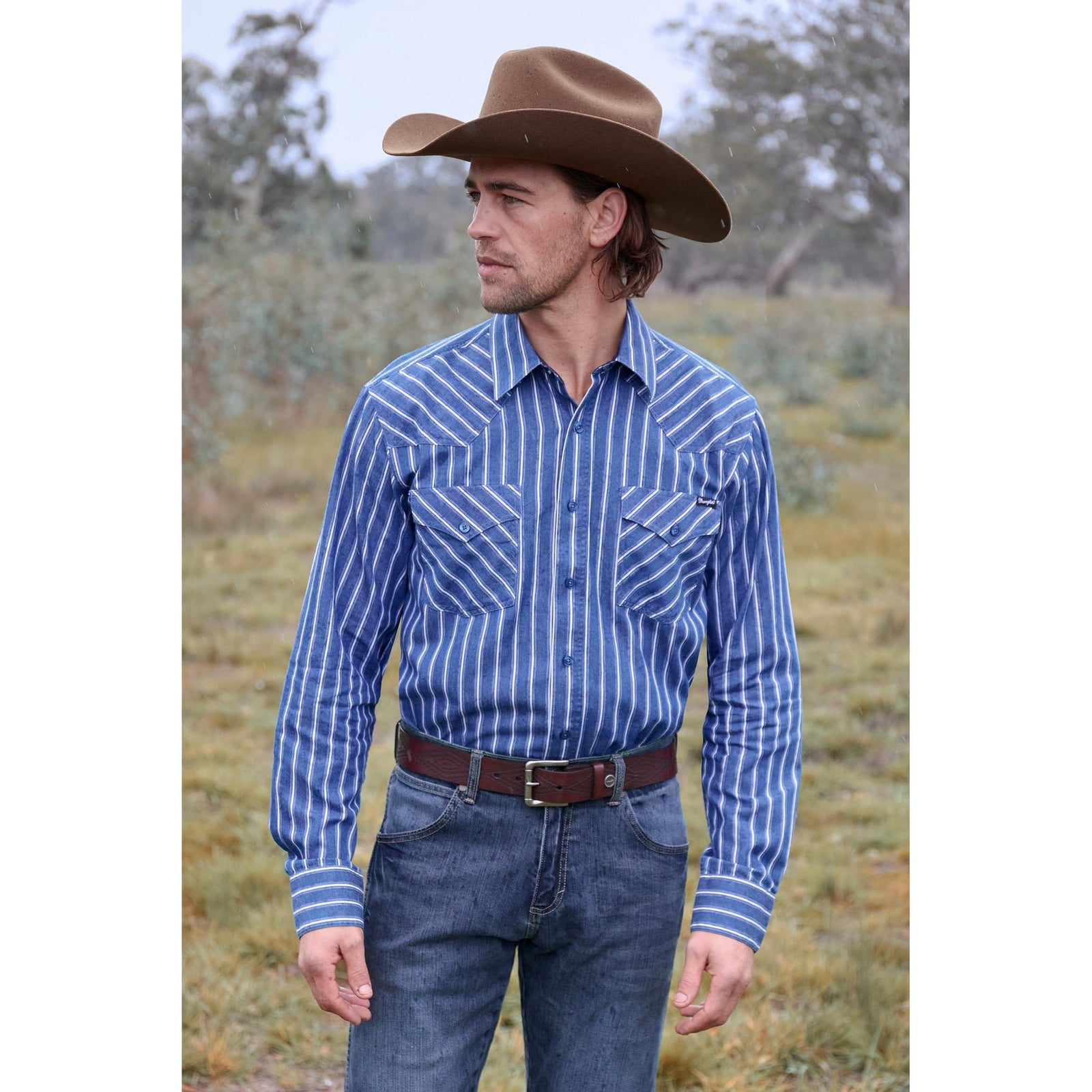 Wrangler Men's Roy Stripe L/S Western Shirt Wrangler