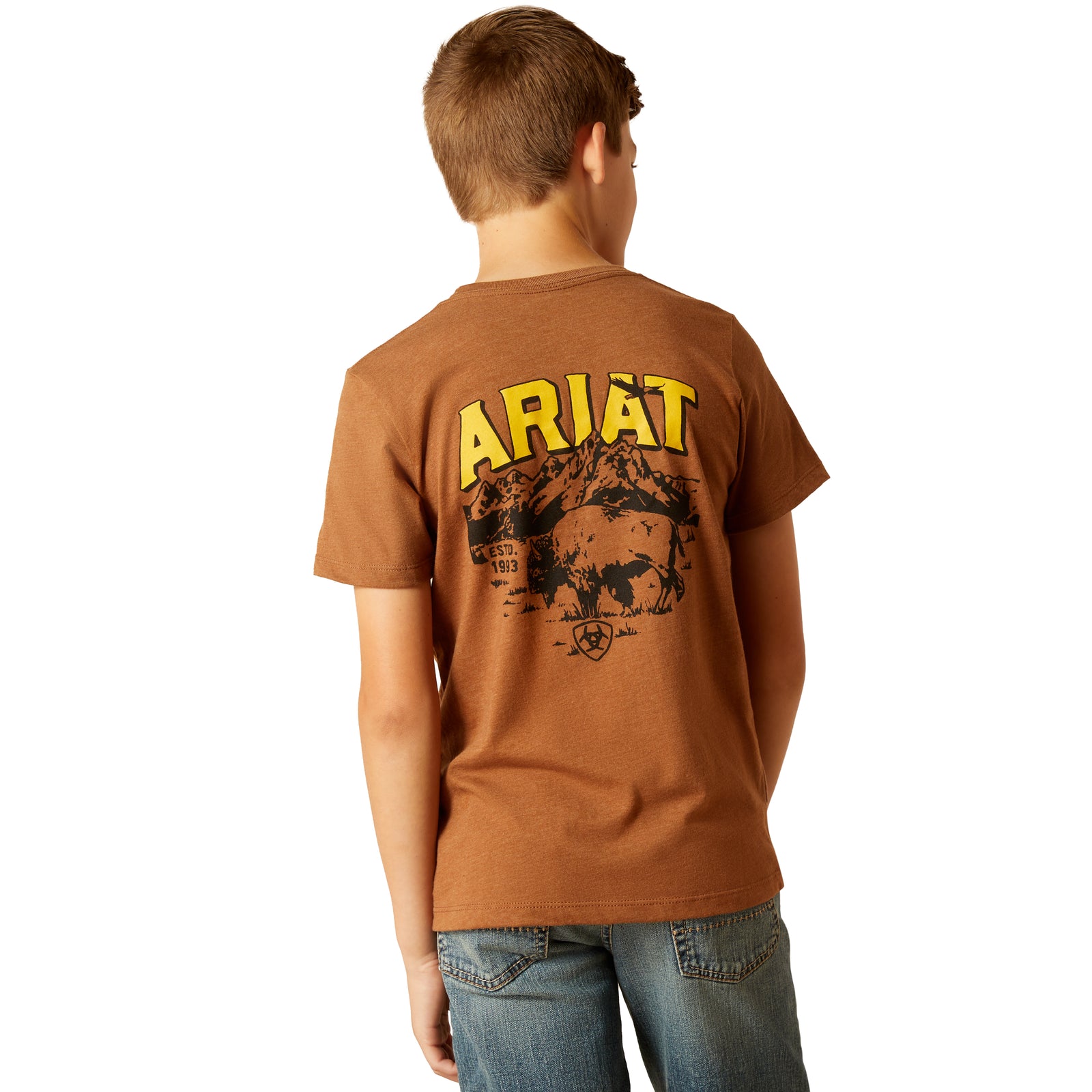 Ariat Boy's Bison Sketch Shield S/S Tee