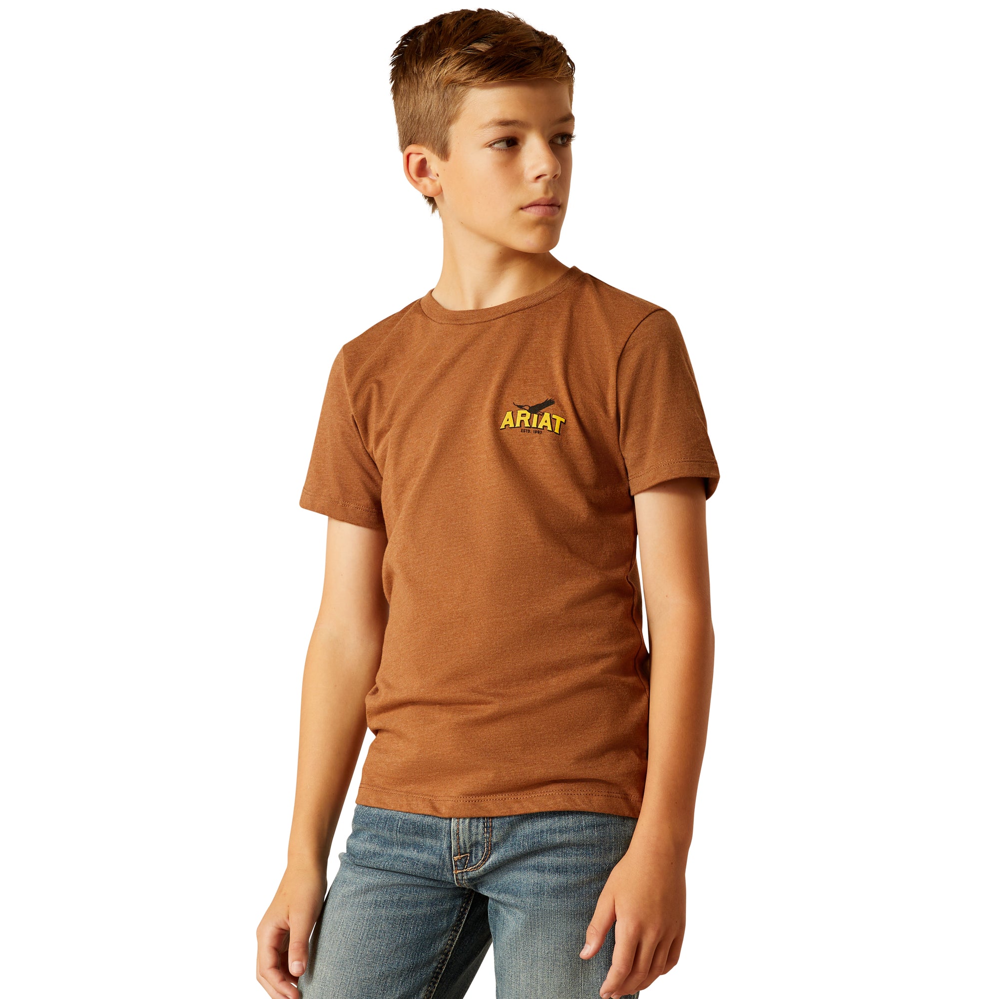 Ariat Boy's Bison Sketch Shield S/S Tee