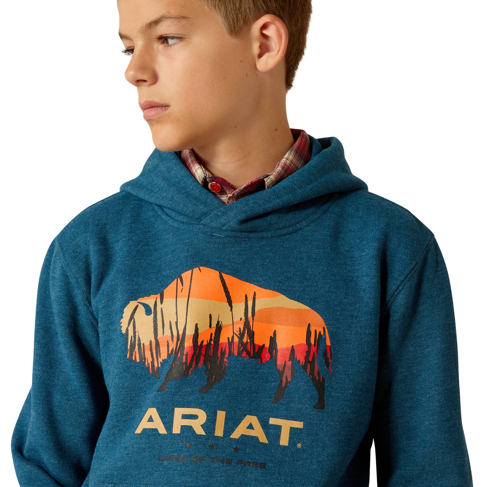Ariat Boy's Bison Plains Hoodie