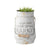 Flower Market Planter with Handle