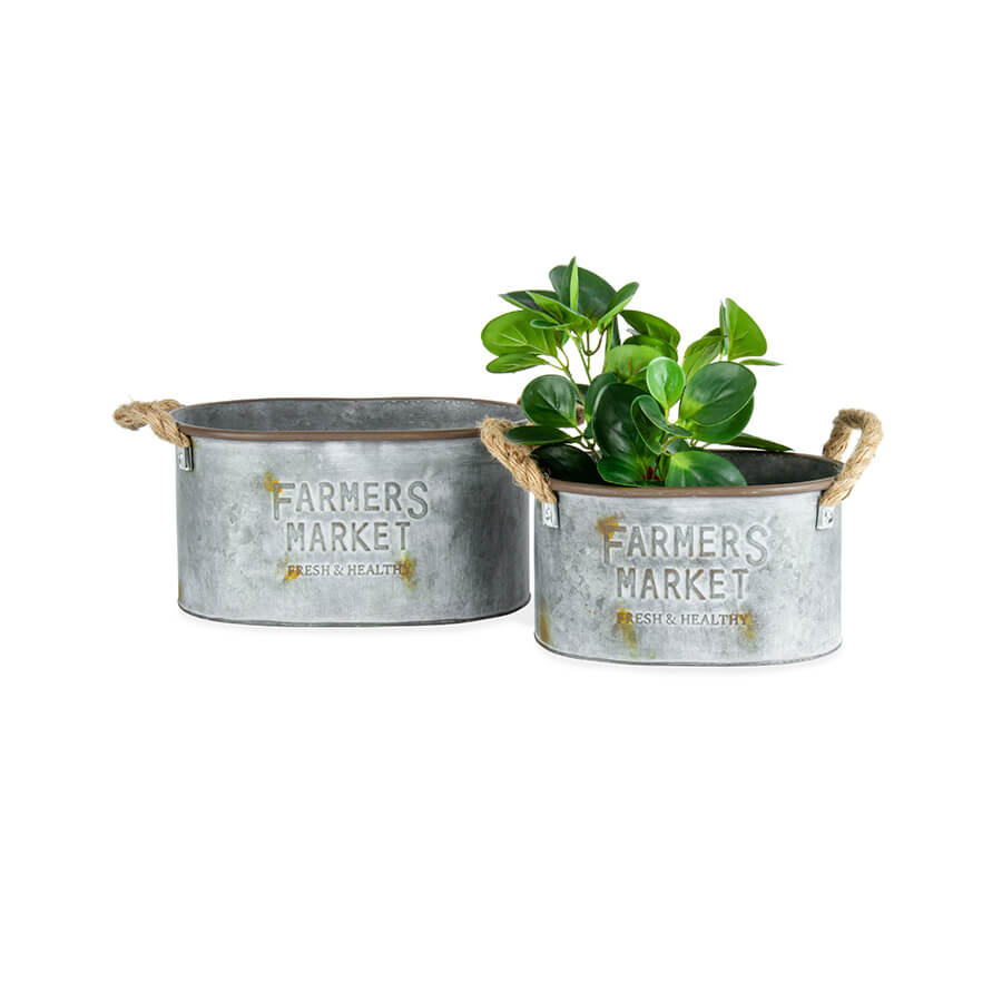 Nested Farmers Market Planter Set of 2. Two metal planters with 'Farmers Market' text, one containing a plant on a white background.