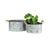 Nested Farmers Market Planter Set of 2