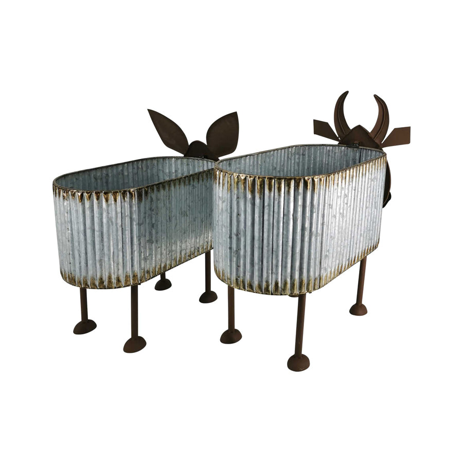 Nested Cow Planters Set of 2. Two metal planters with cow head designs on a white background
