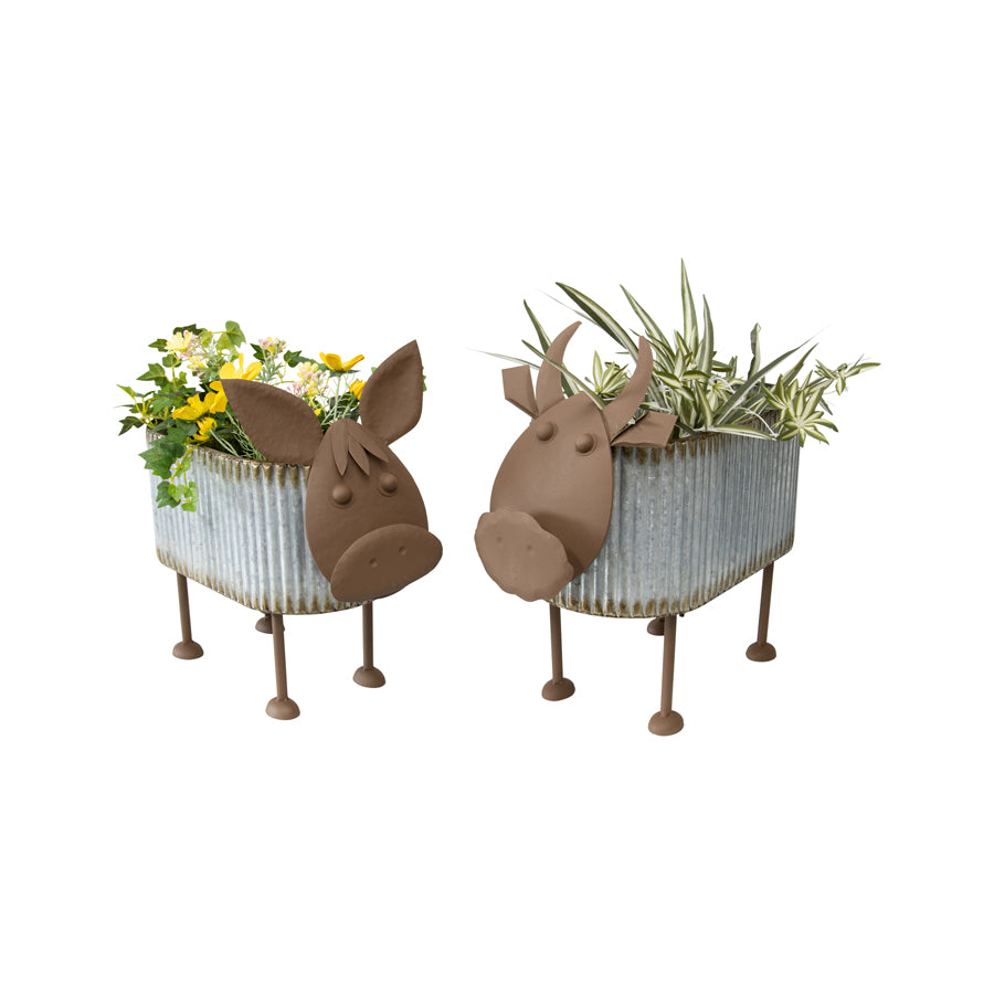 Nested Cow Planters Set of 2. Two decorative planters shaped like cows with flowers on a white background