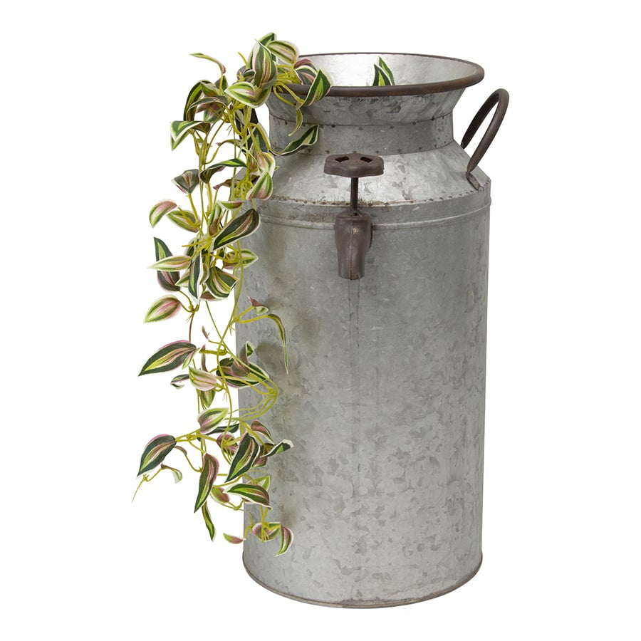 Decorative Tap Planter. Metal milk churn with handles and spout on a white background