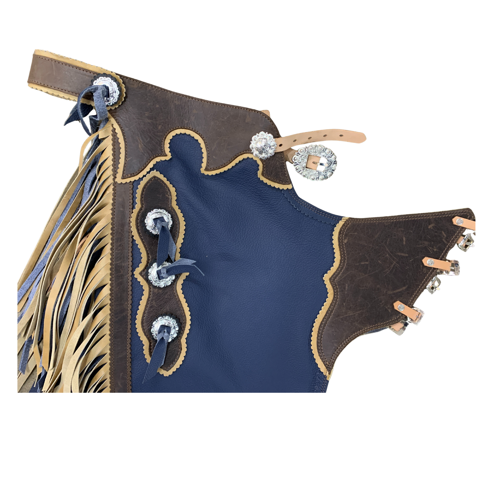 Hang "N' Rattle Cutting Chaps. Navy blue chaps with gold fringe and decorative buttons on a white background